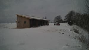 An older photo from the camera