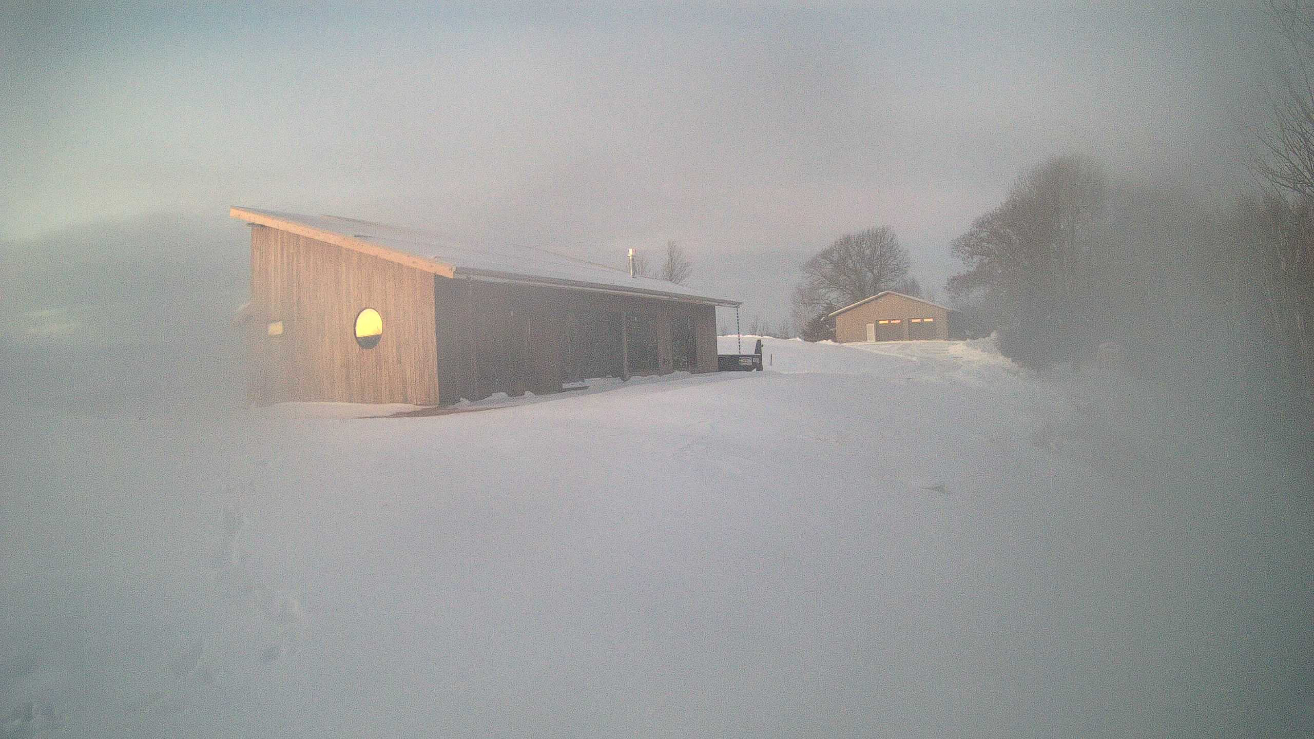 A photo from the field camera