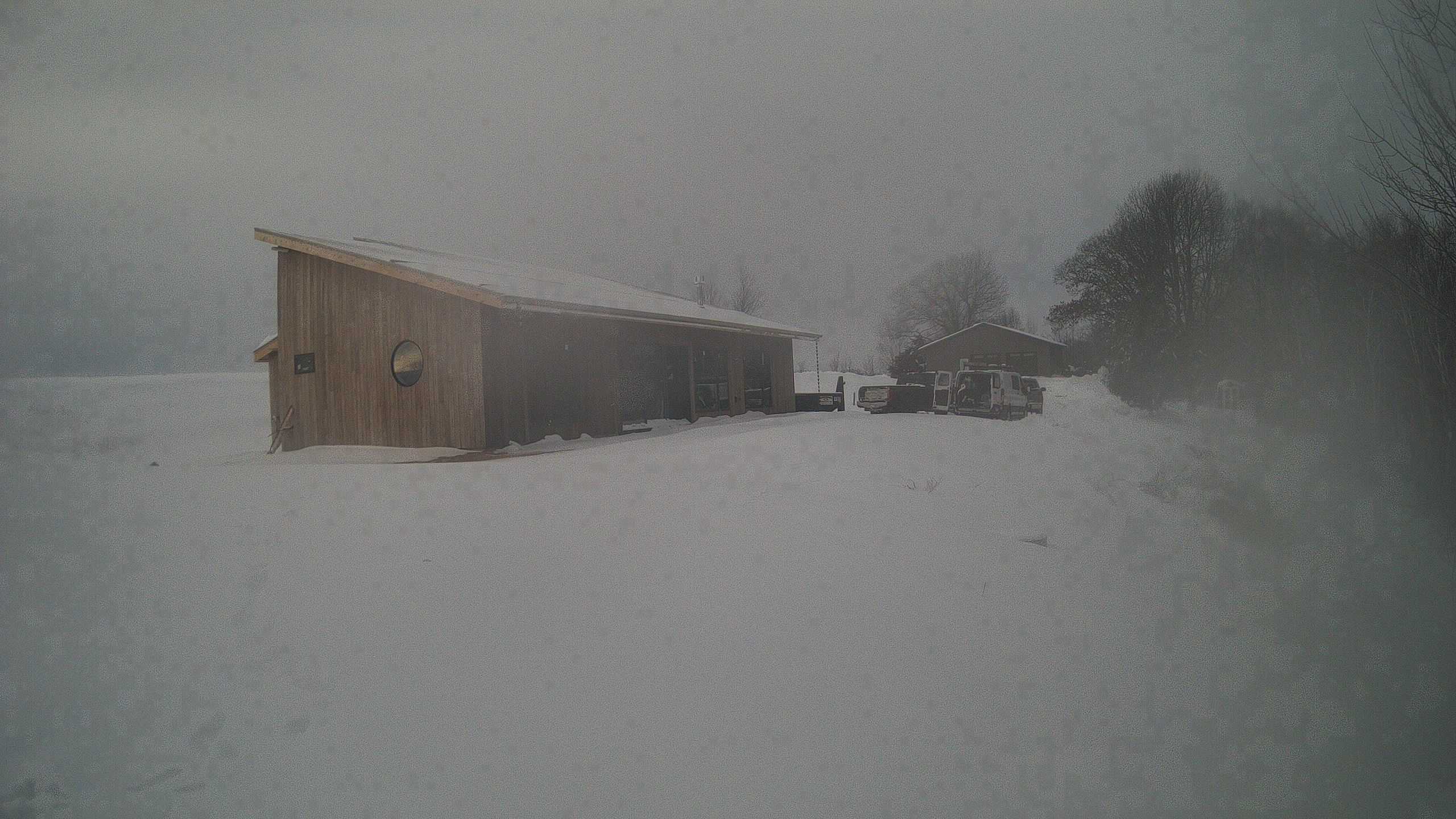 A photo from the field camera