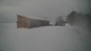 A newer photo from the camera