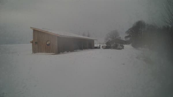 The field cam, Dec 11, 2025 at 7:38am