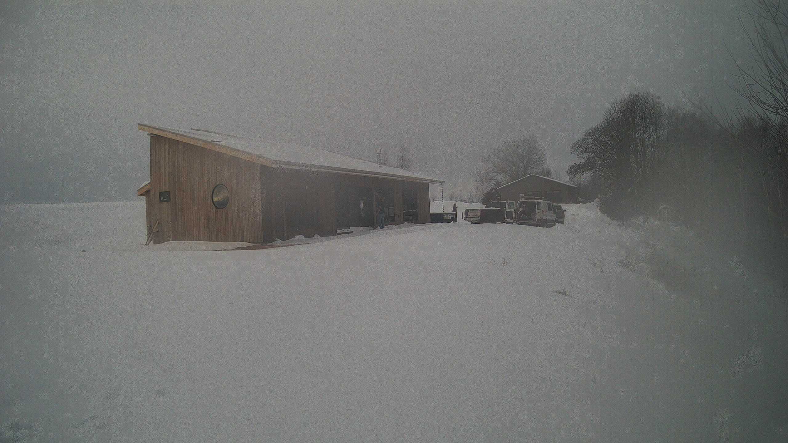 A photo from the field camera