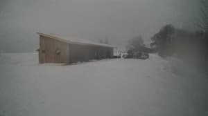 A newer photo from the camera