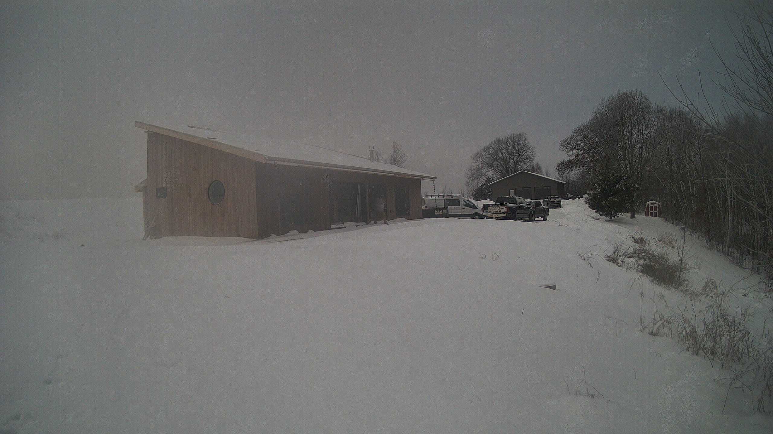 A photo from the field camera