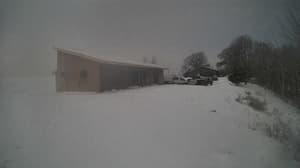 An older photo from the camera