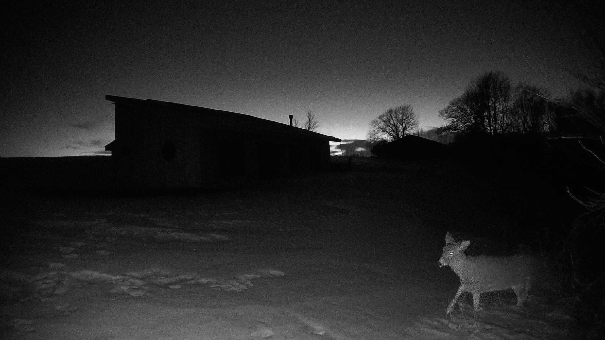 The field cam, Dec 16, 2025 at 3:25pm