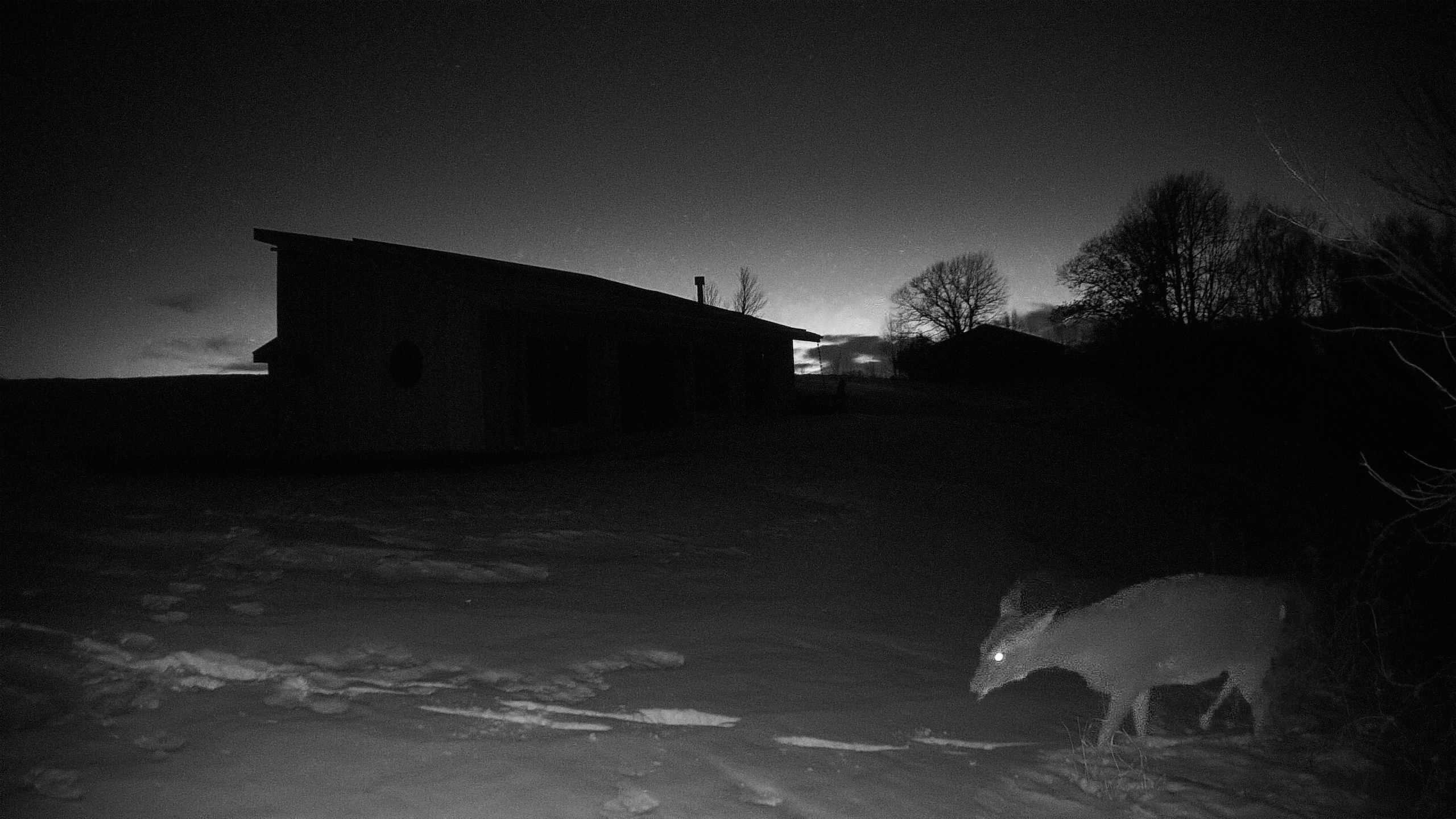 A photo from the field camera