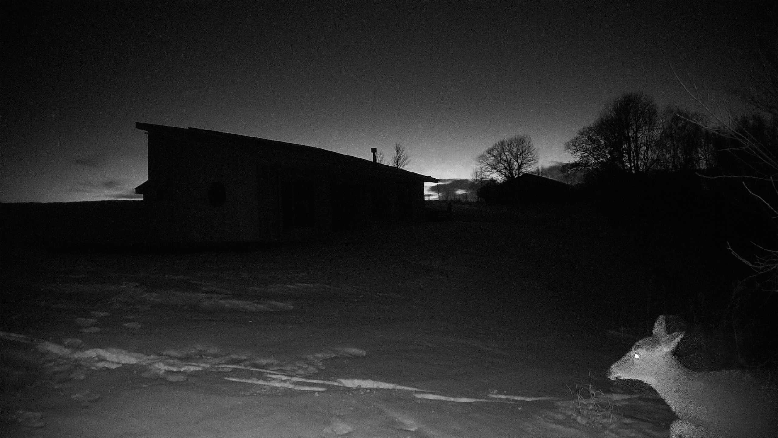 A photo from the field camera