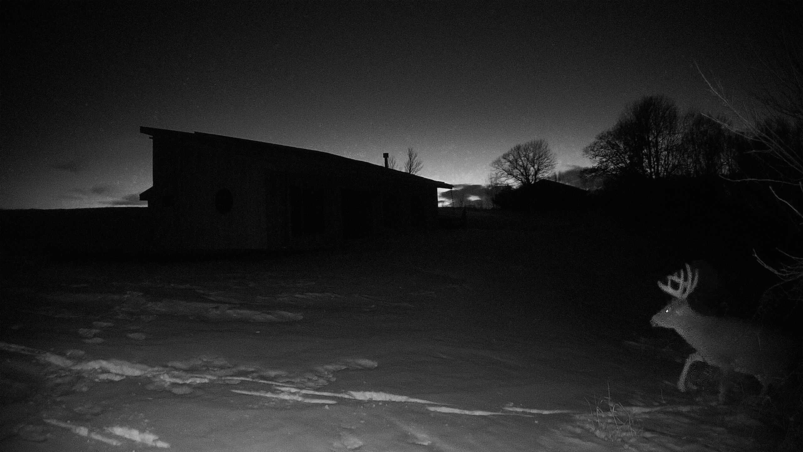 A photo from the field camera