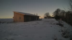 A newer photo from the camera