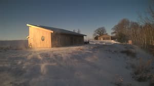 A newer photo from the camera