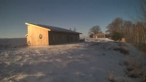 A newer photo from the camera