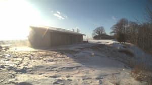 Currently viewing photo