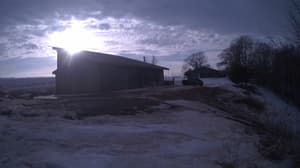 A newer photo from the camera