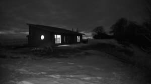 A newer photo from the camera