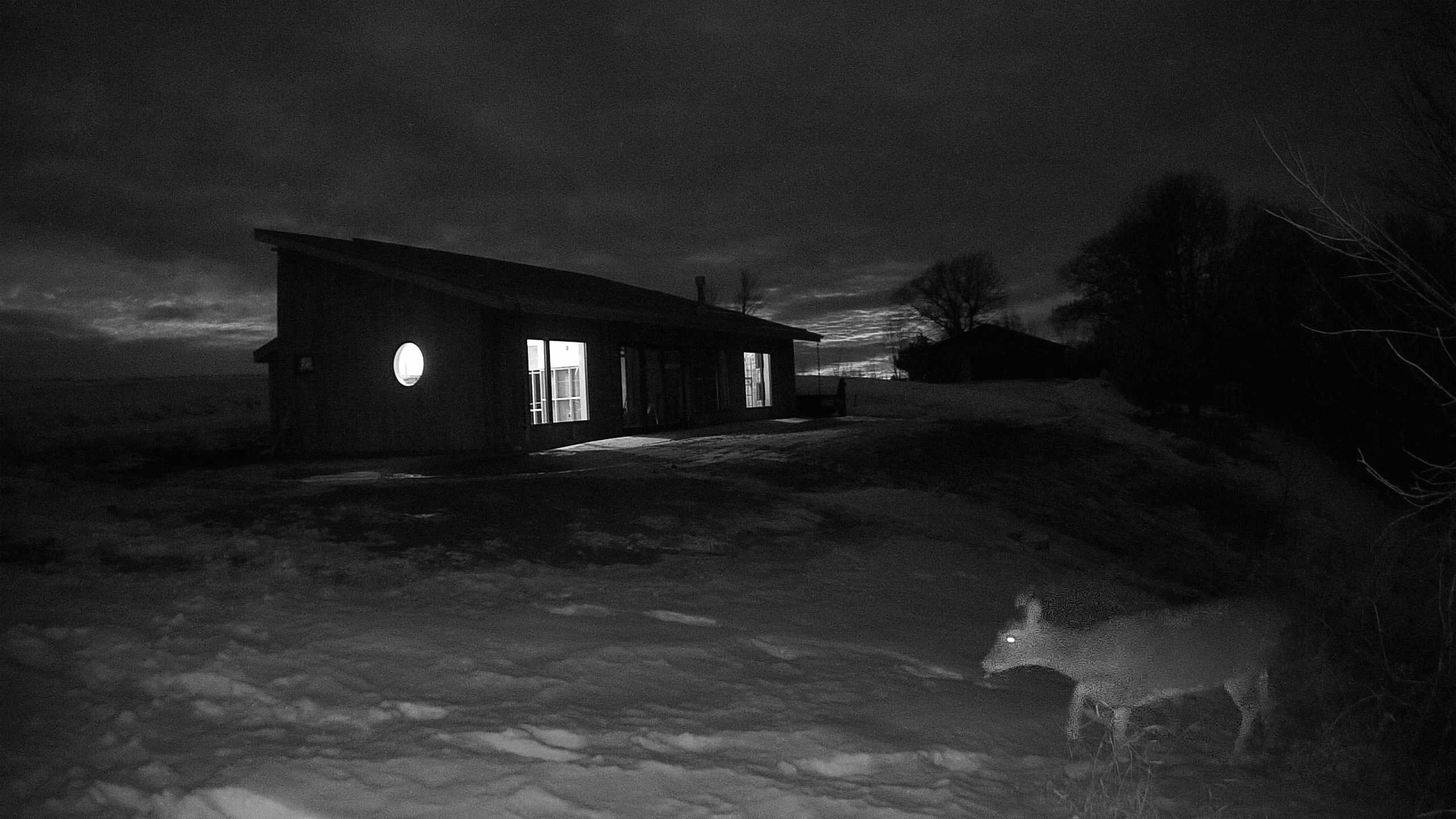 A photo from the field camera