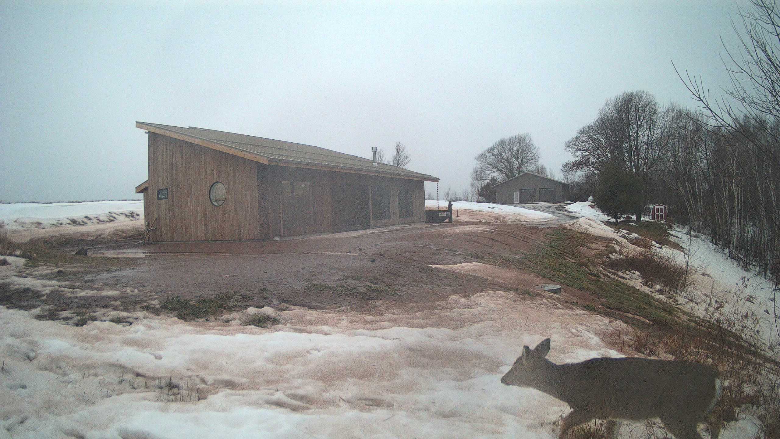 A photo from the field camera