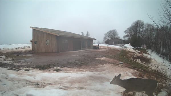 The field cam, Dec 27, 2025 at 2:20pm