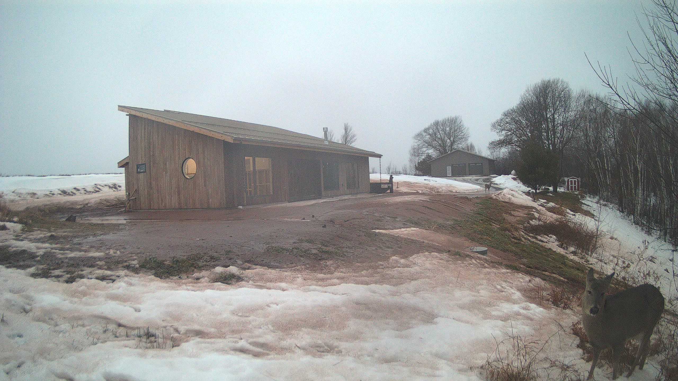 A photo from the field camera