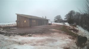 A newer photo from the camera