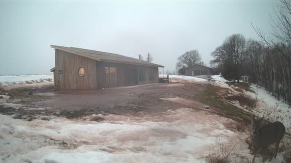 The field cam, Dec 27, 2025 at 2:34pm