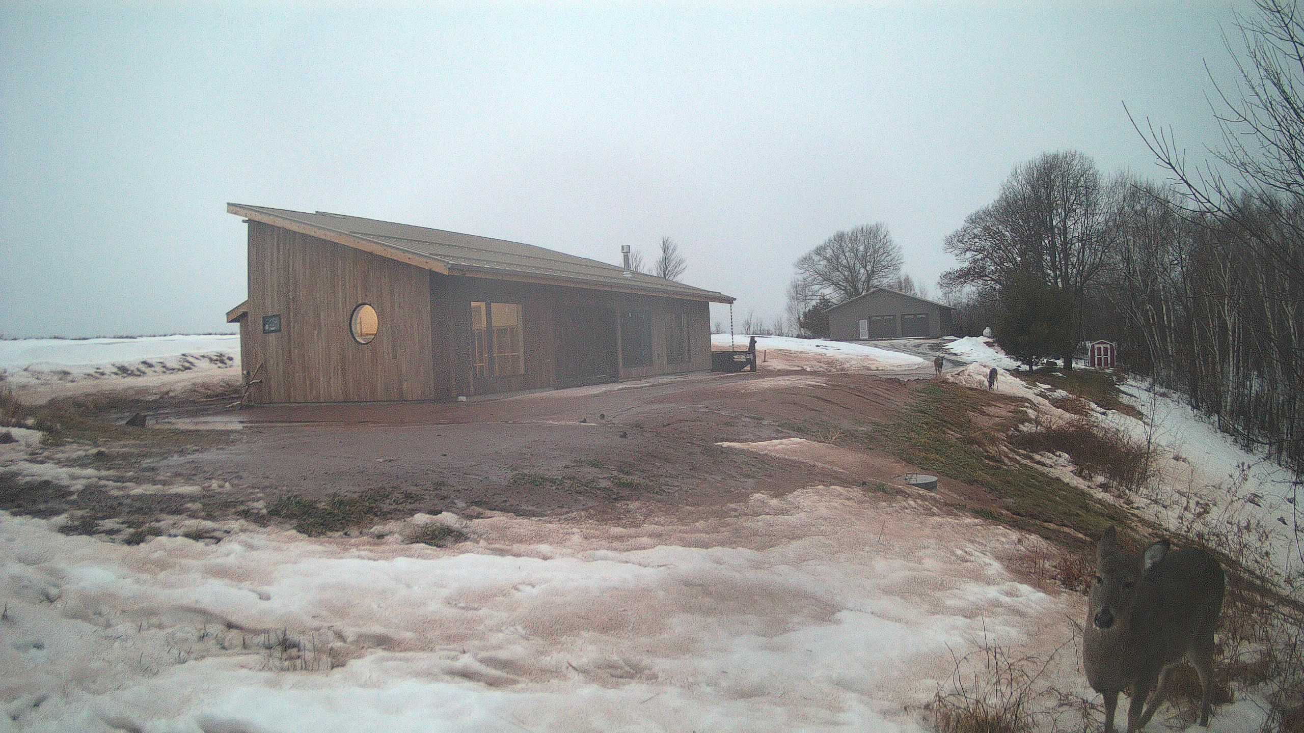 A photo from the field camera