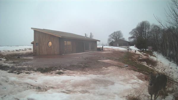 The field cam, Dec 27, 2025 at 2:35pm