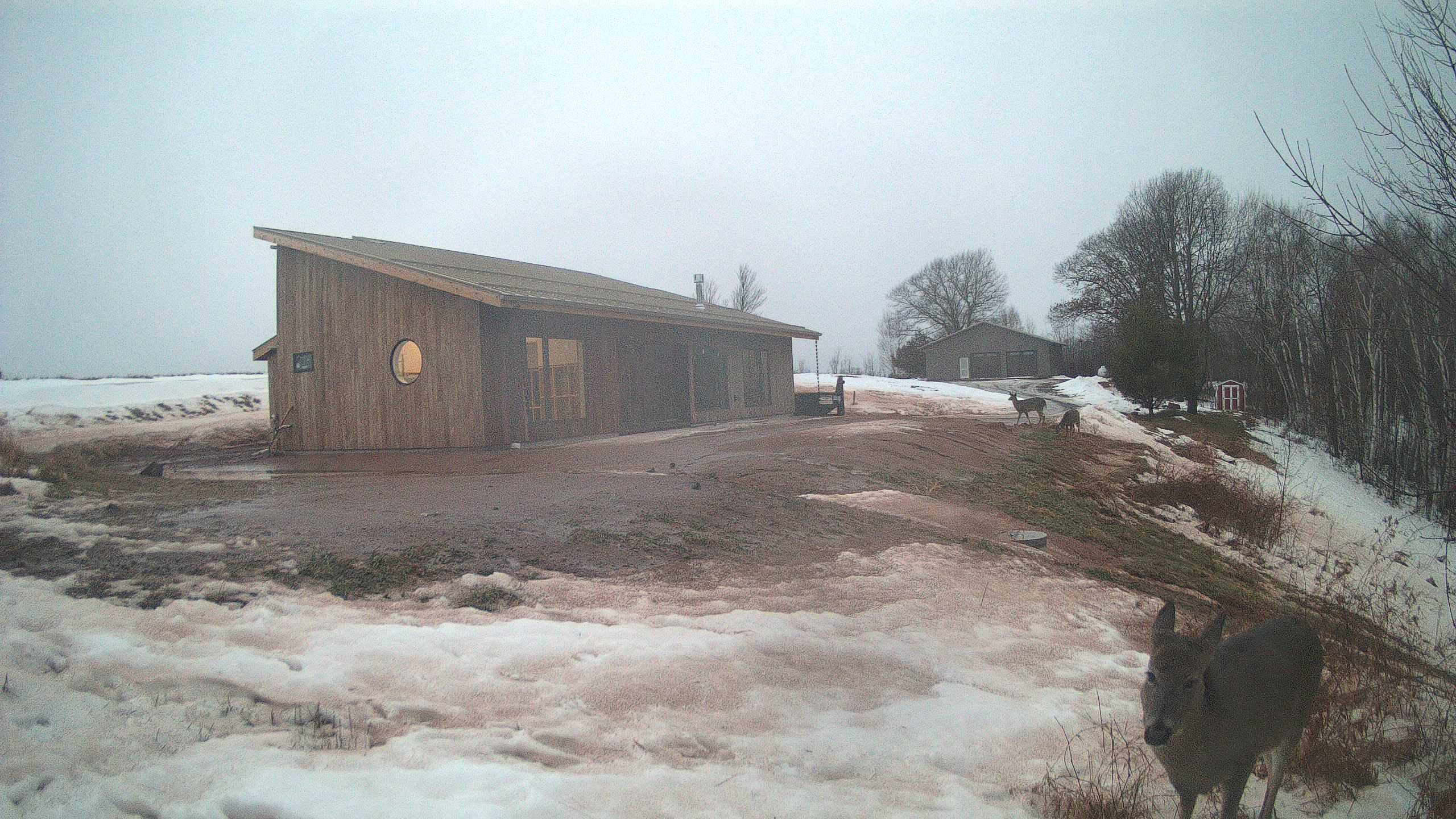 A photo from the field camera