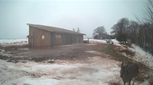 An older photo from the camera