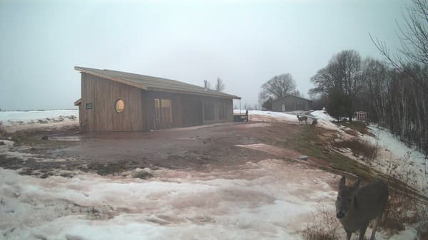 The field cam, Dec 27, 2025 at 2:35pm