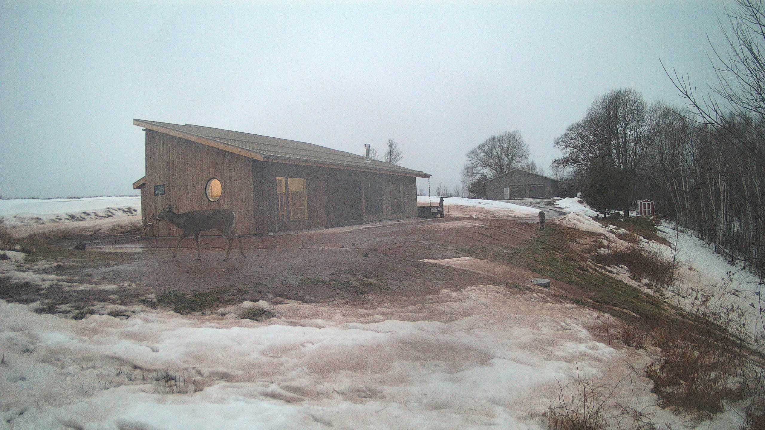 A photo from the field camera