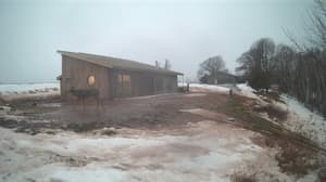 An older photo from the camera