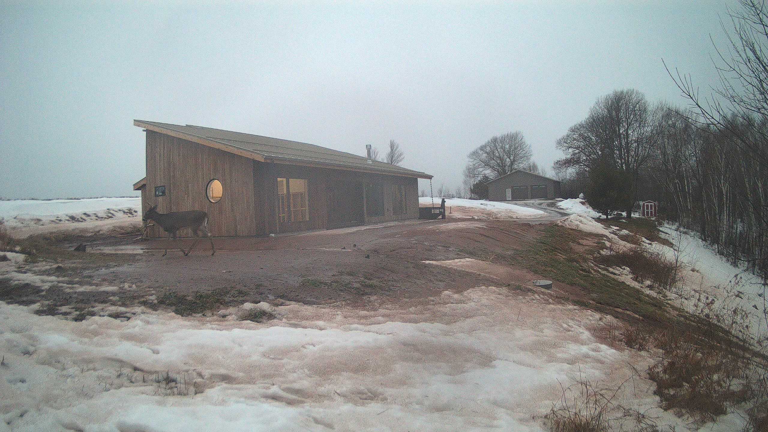 A photo from the field camera