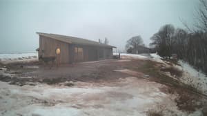 An older photo from the camera