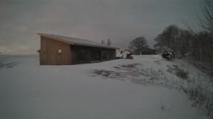 A newer photo from the camera