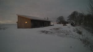 A newer photo from the camera