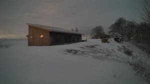 A newer photo from the camera