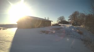 A newer photo from the camera