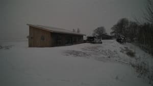 Currently viewing photo