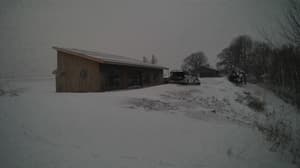 An older photo from the camera