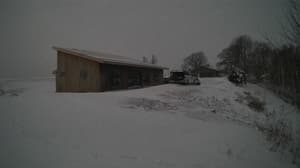 An older photo from the camera