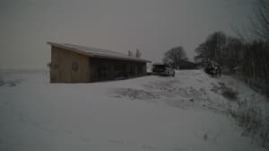 An older photo from the camera