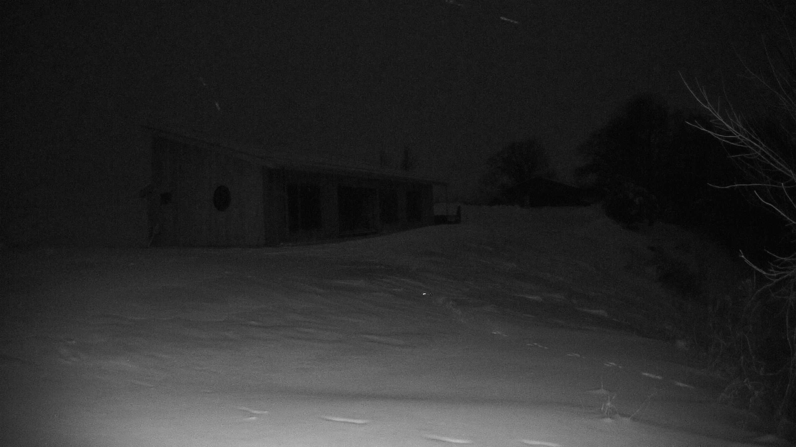 The field cam, January