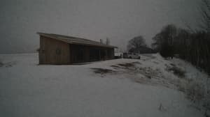 A newer photo from the camera