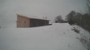 A newer photo from the camera