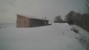 A newer photo from the camera