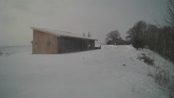 The field cam, Jan 10, 2026 at 8:23am