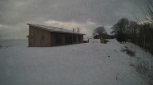 A newer photo from the camera