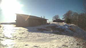 A newer photo from the camera