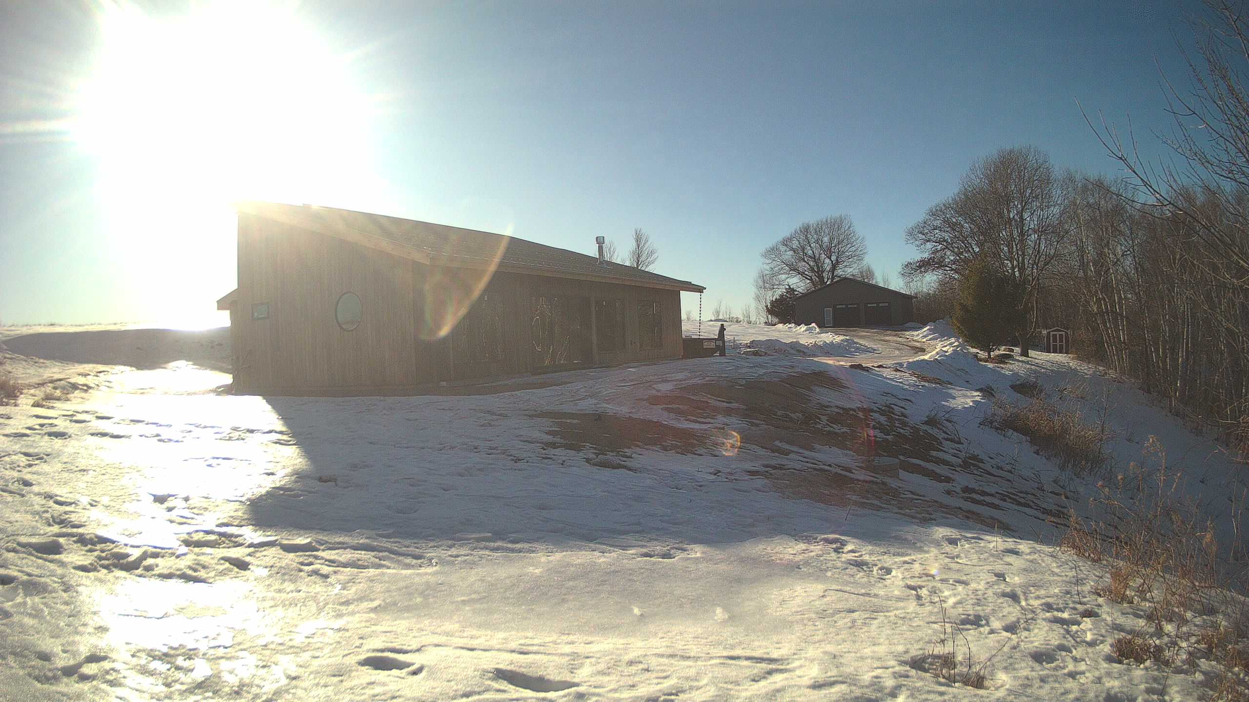 A photo from the field camera